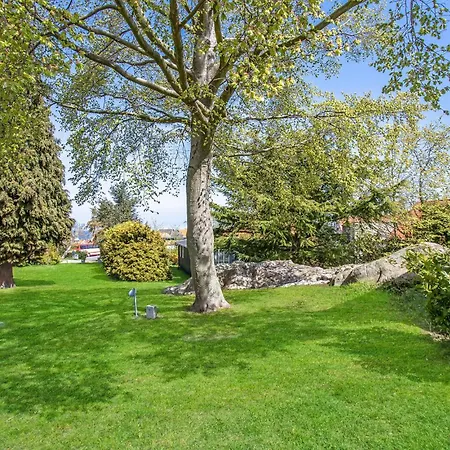 Tatil Evi Amazing In With Wifi